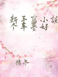 新手写小说在哪个平台好