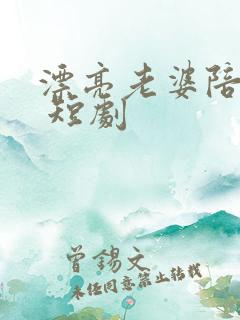 漂亮老婆陪过年 短剧