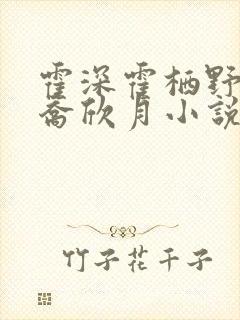 霍深霍栖野夏稚乔欣月小说叫什么