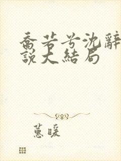 乔若兮沈辞安小说大结局