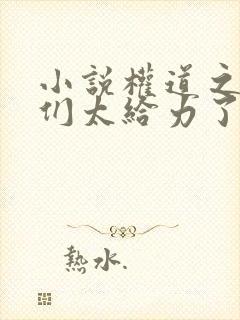 小说权道之夫人们太给力了免费阅读