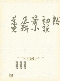 叶辰萧初然免费更新小说