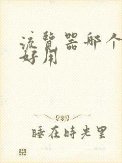 流览器哪个比较好用