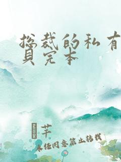 总裁的私有小宝贝完本