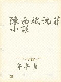 陈向斌沈菲菲的小说