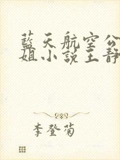 蓝天航空公司空姐小说王静