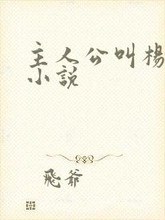 主人公叫杨飞的小说