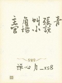 主角叫张青云的官场小说