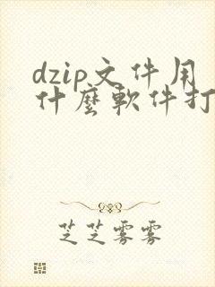 dzip文件用什么软件打开