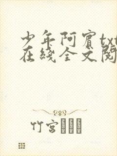 少年阿宾txt在线全文阅读