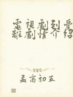 电视剧到爱的距离剧情介绍