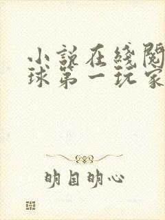 小说在线阅读地球第一玩家