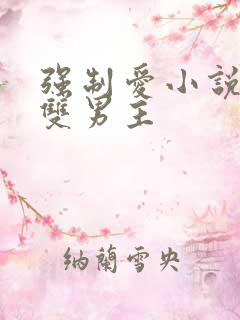 强制爱小说推荐双男主