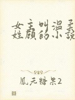 女主叫温柔男主姓顾的小说