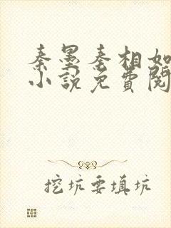 秦墨秦相如穿越小说免费阅读