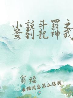 小说斗罗之开局签到龙神武魂全文