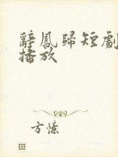 辞凤归短剧免费播放