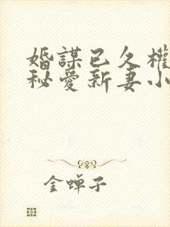 婚谋已久权少的秘爱新妻小说