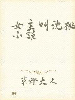 女主叫沈桃桃的小说