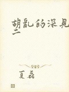 胡乱的深见君第二