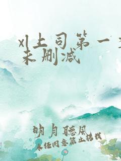 xl上司第一季未删减