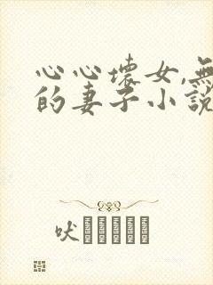 心心坏女,无能的妻子小说