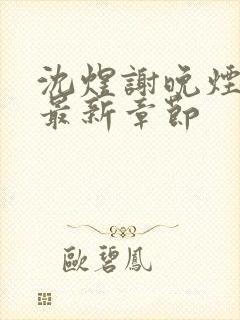 沈煜谢晚烟小说最新章节