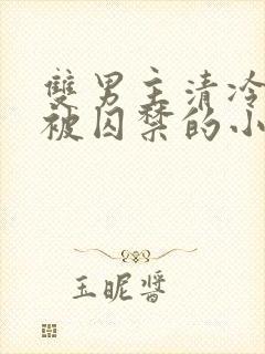 双男主清冷仙尊被囚禁的小说