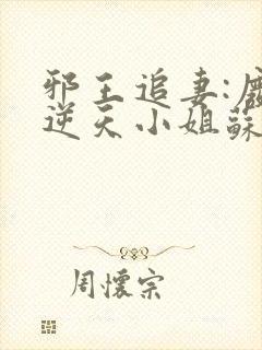 邪王追妻:废材逆天小姐苏落南宫流云