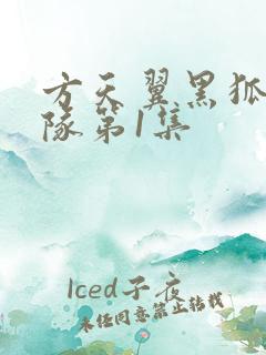 方天翼黑狐突击队第1集