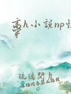 高h小说np快穿