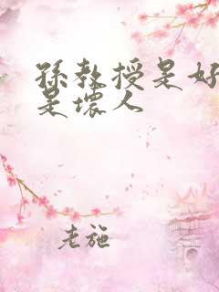 孙教授是好人还是坏人