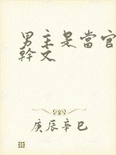 男主是当官的高干文