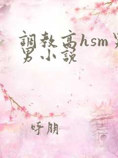调教高hsm男男小说