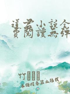 道君小说全文免费阅读无弹窗