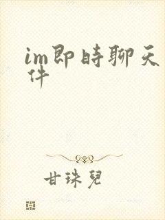 im即时聊天软件