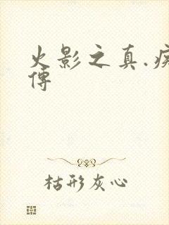 火影之真.疾风传