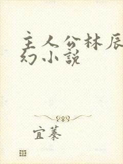 主人公林辰的玄幻小说