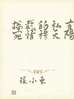 总裁的私有宝贝宛情穆天阳的小说