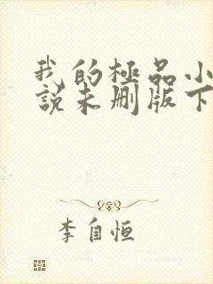 我的极品小姨小说未删版下载txt