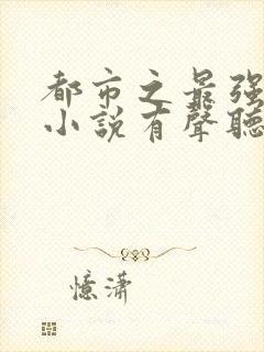 都市之最强狂兵小说有声听书免费