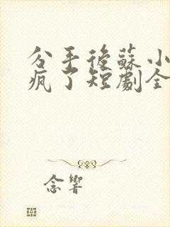 分手后苏小姐杀疯了短剧全集免费观看