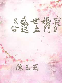 《盛世婚宠:老公送上门》小说