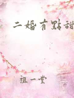 二婚有点甜短剧