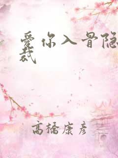 爱你入骨隐婚总裁