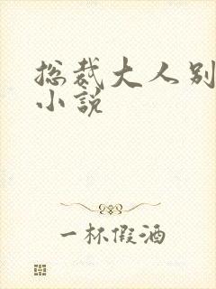 总裁大人别太坏小说