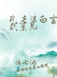 我老婆白富美总裁叶凡