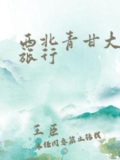 西北青甘大环线旅行