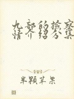 九部的检察官剧情介绍分集