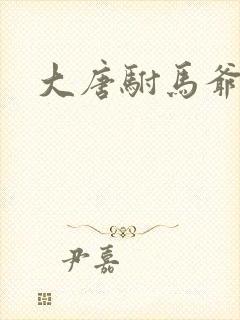 大唐驸马爷杜荷